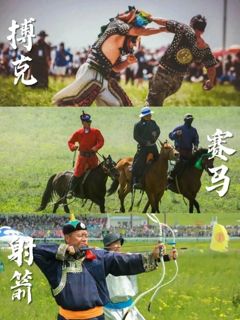 关于特色山地骑马赛，穿越草原的速度与激情的信息