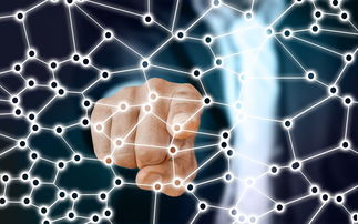 AYX GAMING-中国足球青训梯队人员年龄层结构，足球青训年龄段